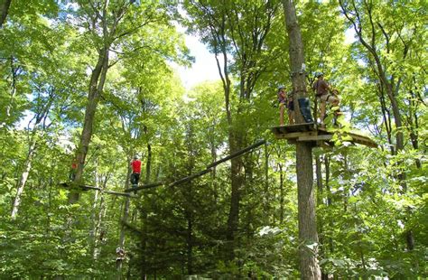Treetop Trekking: A Fine Line Between Zen and Excitement - Mountain Life