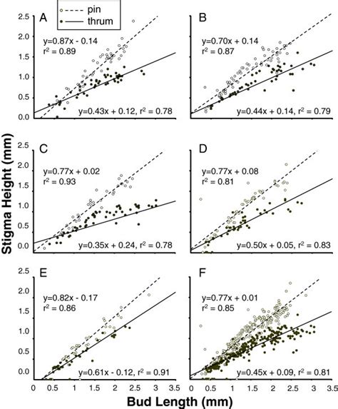 Stigma Development In Pin And Thrum Floral Morphs Ofh Caerulea Data