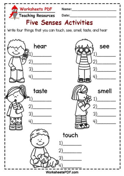 Write Four Things That You Can Touch See Smell Taste And Hear Worksheets Pdf