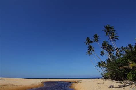 Free Images Sky Blue Beach Sea Palm Tree Sand Shore Ocean
