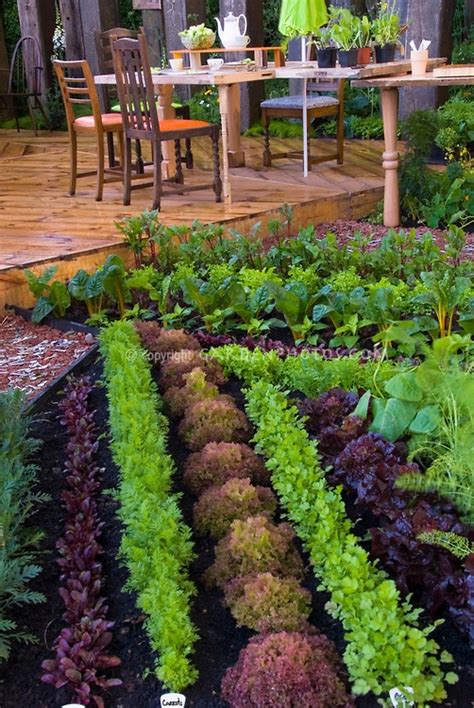 A potager garden is a great addition to the homestead! Vegetable Garden - FaveThing.com
