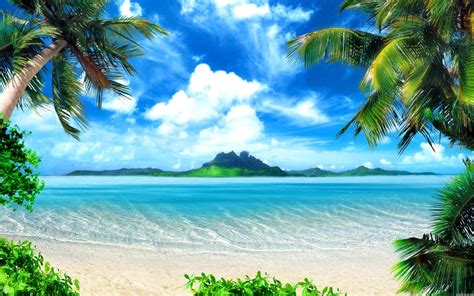 Ocean Landscapes Nature Beach Seas Paradise Islands Palm Trees X Wallpaper Nature