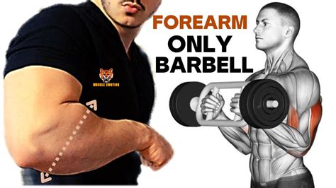 5 Best Exercises For Bigger Forearms Workout With Barbell Only Youtube