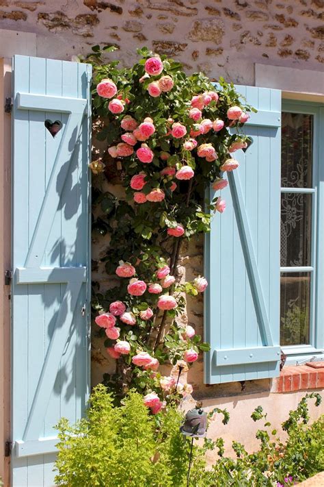 Cool 40 Awesome Eden Rose Garden To Enhance Your Beautiful Garden