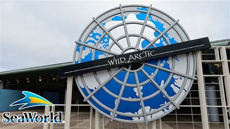 Wild Arctic Seaworld San Diego Animal Exhibit 4k Pov Youtube