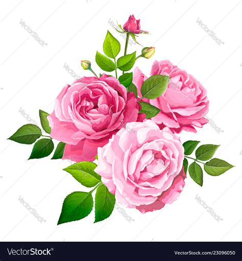 Image search results for flowers. Lovely rose flower Royalty Free Vector Image - VectorStock