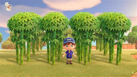 Animal crossing bamboo garden ideas. Young Spring Bamboo DIY Crafting Recipes & How To Get Them ...