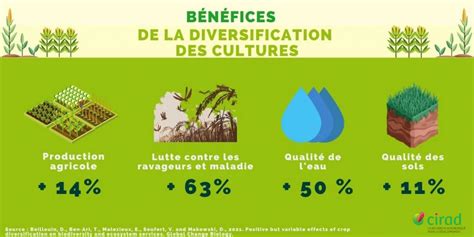 Diversifier Les Cultures Booste La Production La Biodiversit Et Les