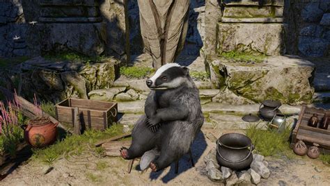 Baldurs Gate 3 Is Better When Youre A Very Large Badger Pc Gamer