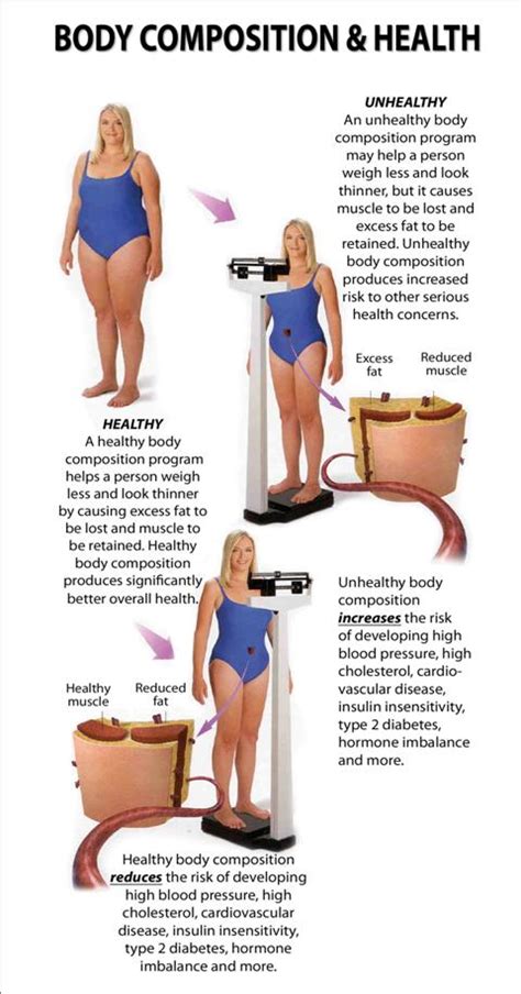 All exercise can help with fat loss, but weight. Body Composition & Health - Chiropractor Big Lake, MN ...