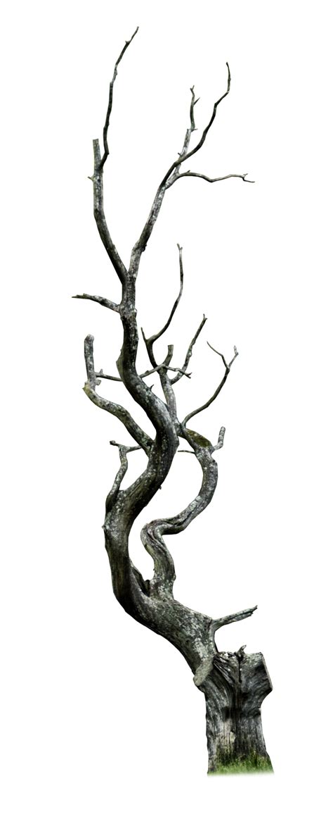 Clip Art Dying Tree