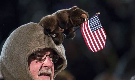 In reality, groundhogs have a typical lifespan of about six years. Groundhog Day 2019: How old is Punxsutawney Phil? Age of ...