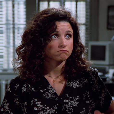 Elaine Benes Icon In 2023 Julia Louis Dreyfus Seinfeld Elaine Benes