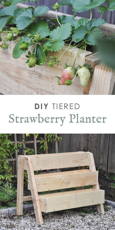 Diy Tiered Strawberry Planter Artofit