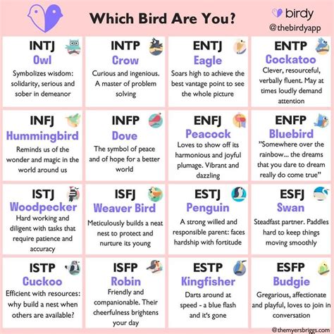 Bird Type Personality Test Edgaratstephens