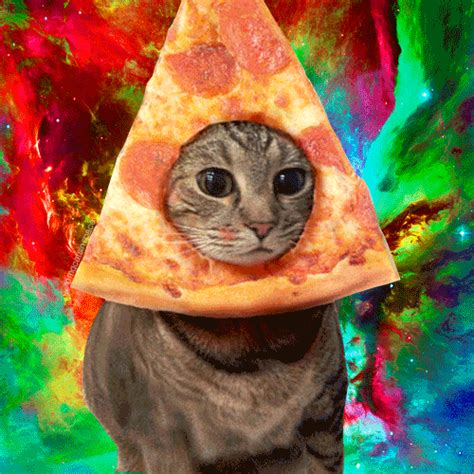 Pizza Cat In Space Foodfriday The Art Of Wor