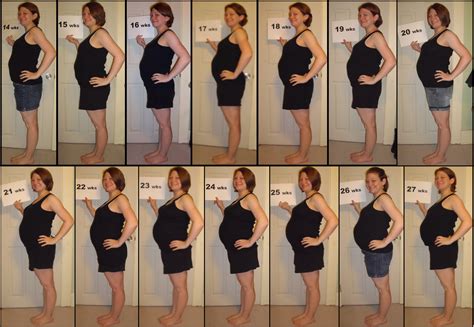 First Trimester Pregnancy Belly Week By Week Chart Gagabux Ptc