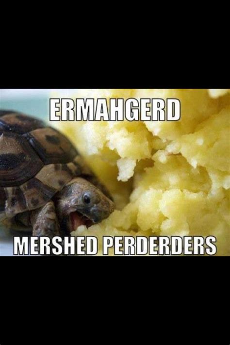 Mashed Potatoes Funny Pictures Ermahgerd Bones Funny