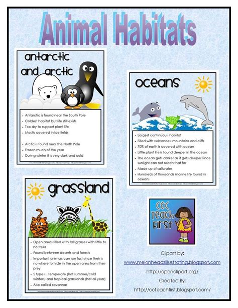 Animal Habitats Facts Posterssheets This Includes The Following