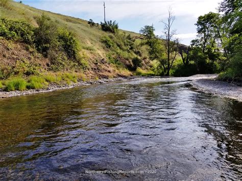 Touchet River Report Walla Walla County Wa Nwfr