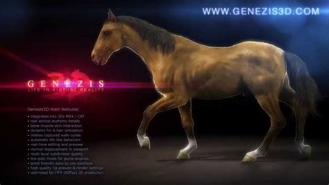 Animated Cg Horse Genezis 3d Youtube