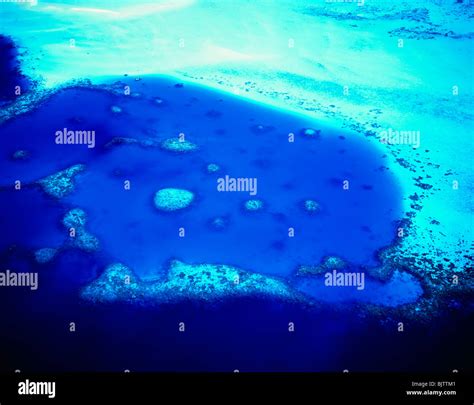 Blue Coral Reef Stock Photo Alamy
