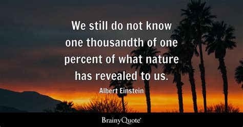 Albert Einstein Quotes Understanding Daily Quotes