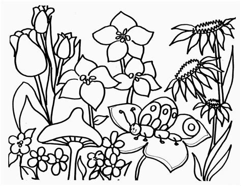 Plantas para colorear - Imagui