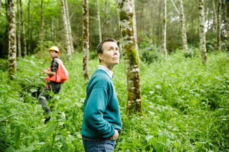 How Small Forests Can Help Save The Planet The New York Times