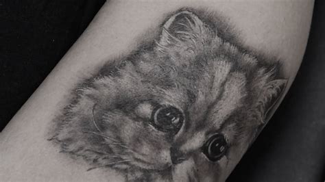 How To Tattoo Realistic White Cat Youtube
