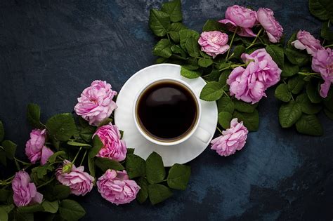 Food Coffee Cup Drink Pink Flower Rose Hd Wallpaper Peakpx