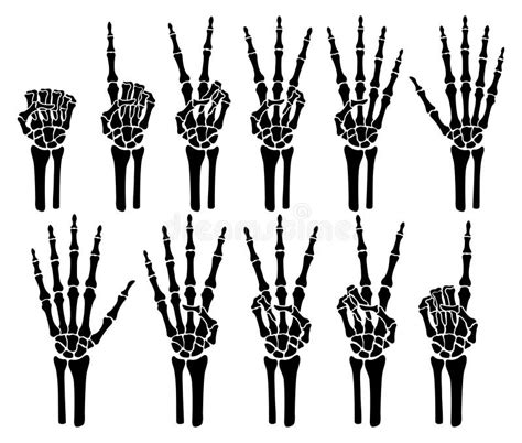 Skeleton Hand Number Stock Illustrations 237 Skeleton Hand Number