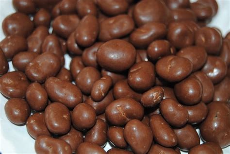 Buy 4222 Chocolate Covered Raisins On Rock Run Bulk Foods