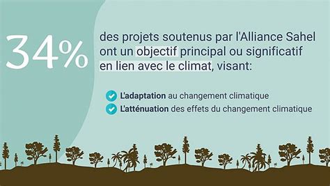 Lalliance Sahel Apporte Un Soutien Fort Aux Programmes Climatiques Des