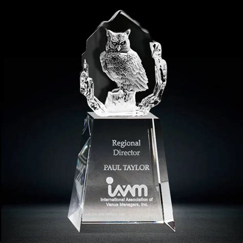 3d Crystal Owl Trophy Award 3d Laser Etched Crystal Owl Award