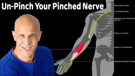 How To Un Pinch Your Pinched Nerve From Neck Down To Hand Dr Alan