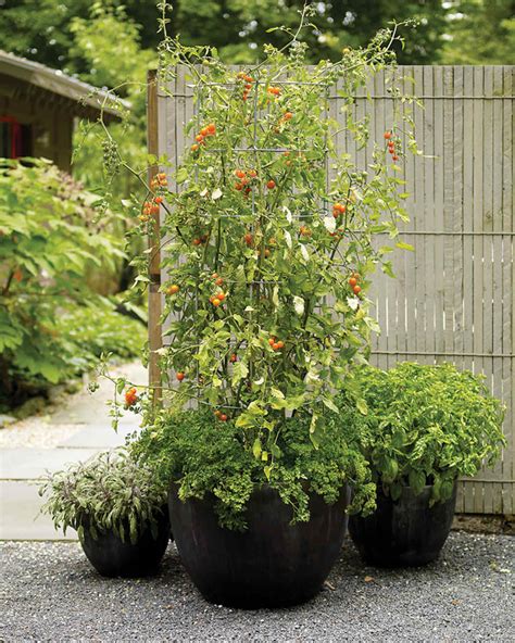 Container Garden Ideas For Any Household Martha Stewart