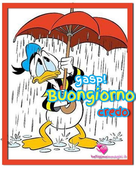 Si infiltra nei negozi, sotto le porte, sprigionando quell'odore di stantio e ammuffito che perfora le narici e le tormenta col suo olezzo. Buongiorno con la pioggia immagini nuove | Buongiorno con ...