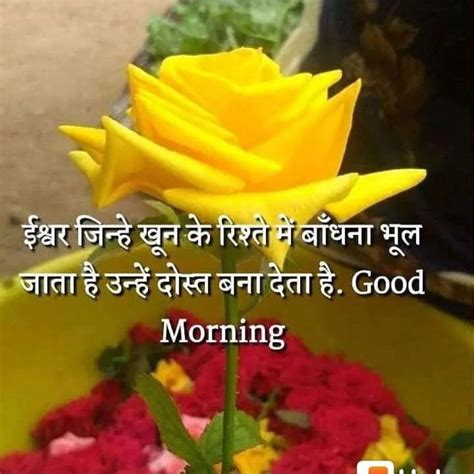 Pin By Seema Yadav On Good Morning Wishes Good Morning Quotes Good
