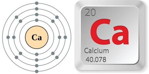 Facts About Calcium Electron Configuration Element Symbols Facts