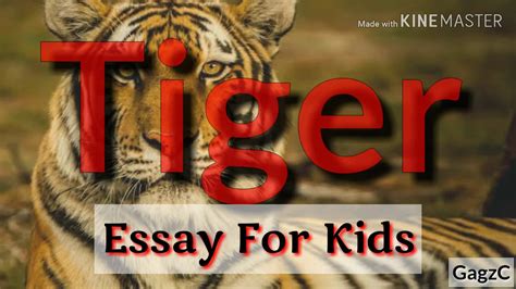 20 Lines Essay On Tiger In English National Animal Of India Essay On