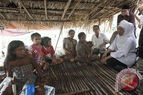 41 Keluarga Suku Anak Dalam Jambi Kini Bisa Nikmati Listrik Antara News