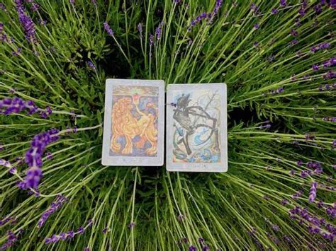 Nikkis Weekly Tarot Reading June 11 17 2018 Forever Conscious