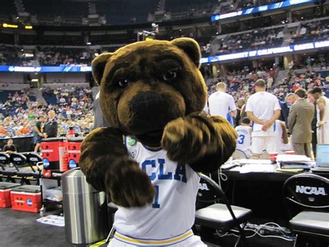 The best gifs of ucla mascot on the gifer website. UCLA mascot Joe Bruin mugging for me | Flickr - Photo Sharing!