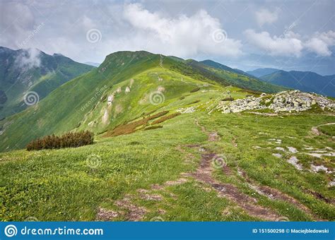 Ridge Leading To The Velky Krivan Mountain In Mala Fatra Slovakia