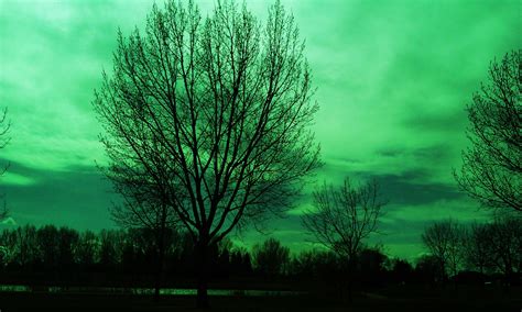 Green Nature Free Stock Photo Public Domain Pictures