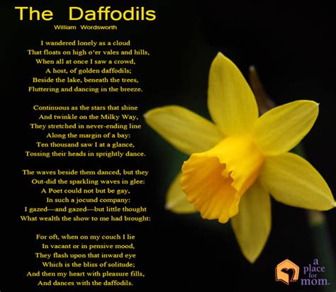 Quotes About Daffodils 41 Quotes