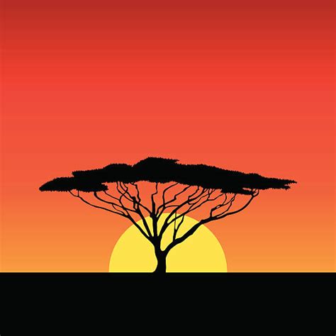 African Tree Clip Art Vector Images And Illustrations Istock