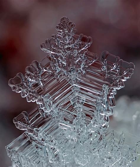 Remarkable Macro Photographs Of Ice Structures And