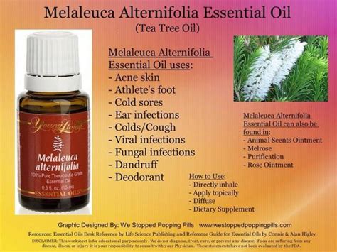 Pin By My Info On Essential Oils Essential Oils Melaleuca Essential